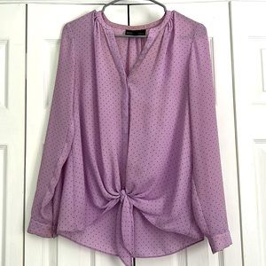 Sheer Polka Dot Long Sleeve Blouse